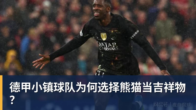 德甲小镇球队为何选择熊猫当吉祥物？